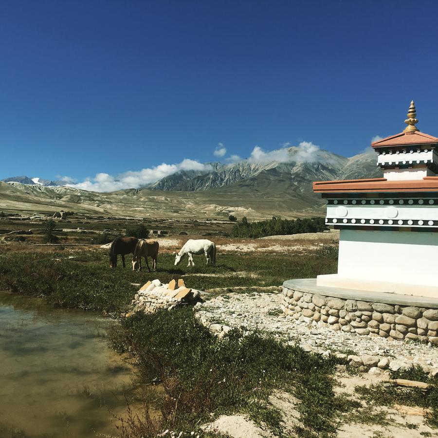 Royal Mustang Resort Nāmbo 외부 사진